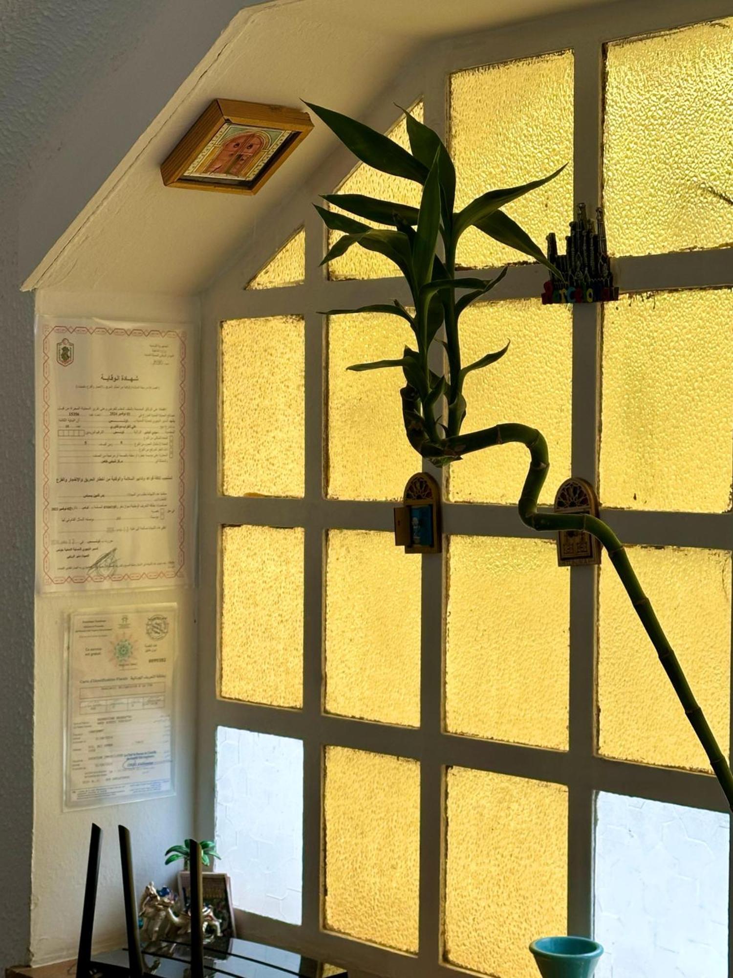Nomads Hostel Tunisia ภายนอก รูปภาพ