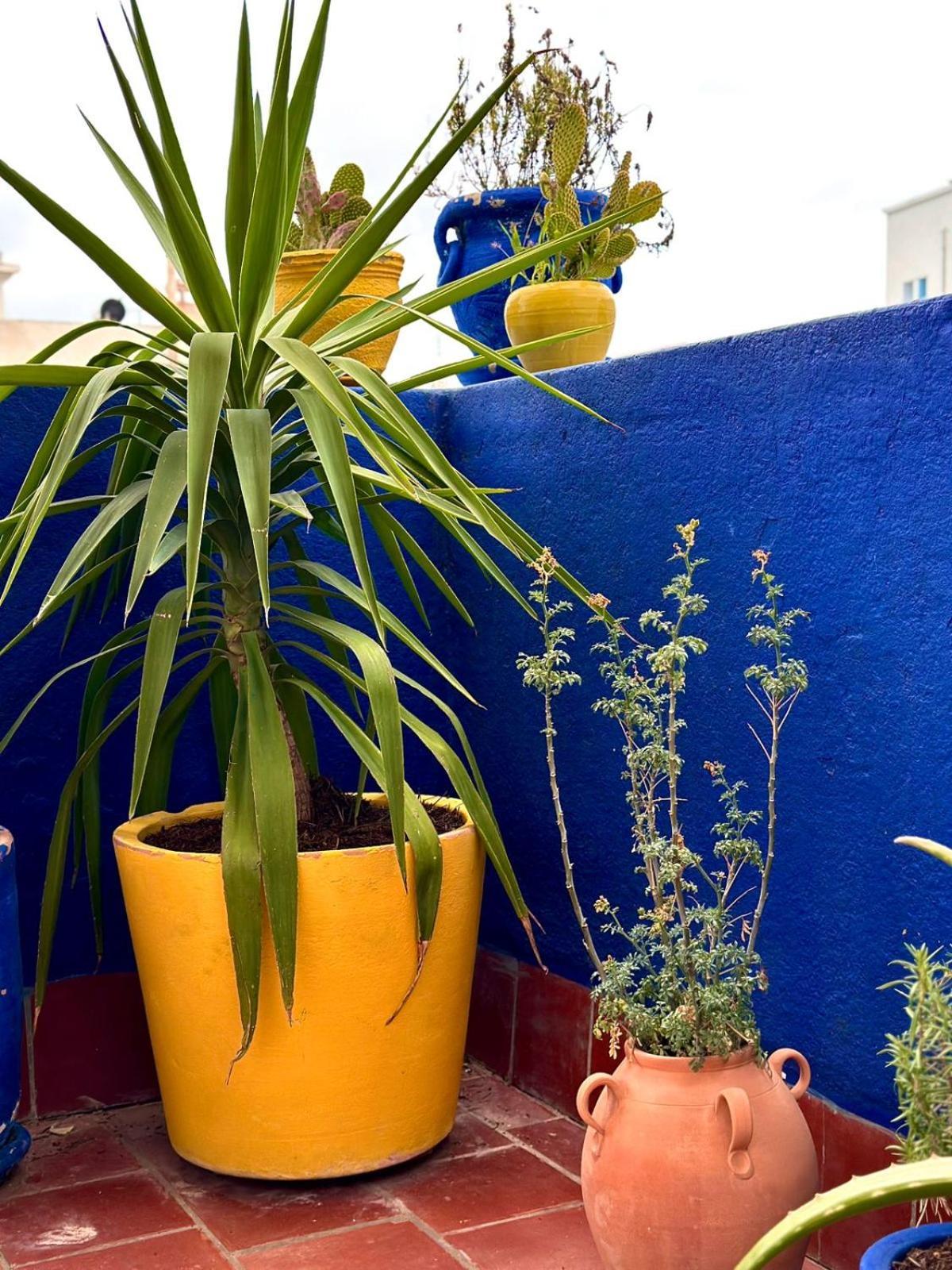 Nomads Hostel Tunisia ภายนอก รูปภาพ